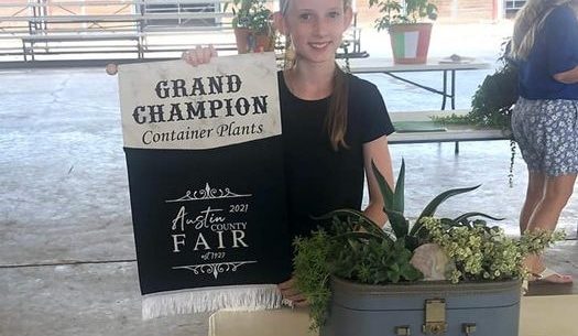 Austin County 4-H Member Emma Krenek – Austin County Fair 2021 Horticulture Contest Container Plants Grand Champion Winner