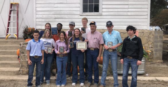 Youth Forage Contest Sponsored by the Austin County Beef & Forage Committee