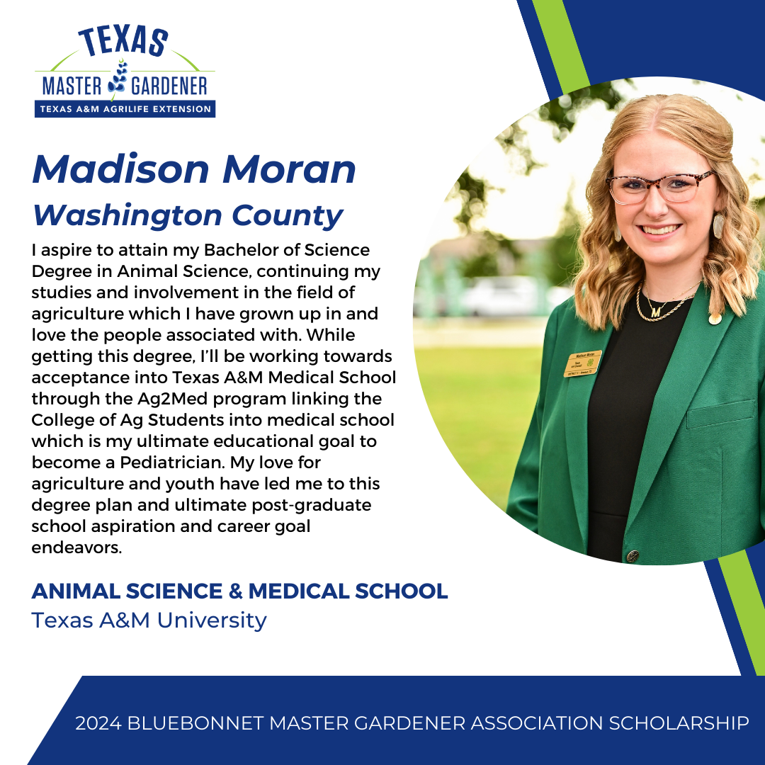Madison Moran – 2024 BMGA Scholarship Recipient